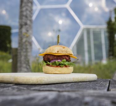 vegan burger